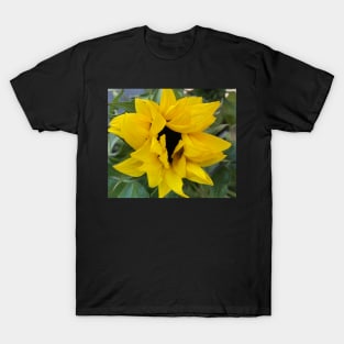 Sunflowers for Peace on Earth: Open the Heart in Solidarity with Ukraine T-Shirt